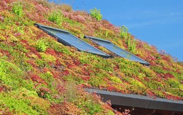 Lenziemill living roof systems