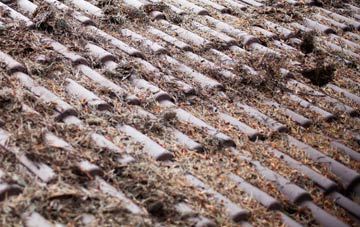 Lenziemill roof cleaning companies