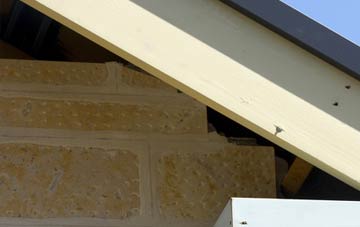 soffit repair Lenziemill