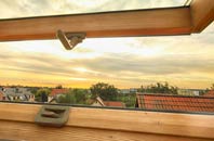 rated Lenziemill roof window companies